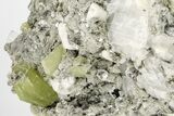 Green Titanite (Sphene), Pericline & Muscovite - Pakistan #209285-2